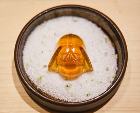 Dinner at Sushi fujimoto