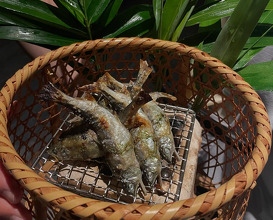 Dinner at Beniya Mukayu べにや無何有