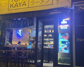 Dinner  at Torikaya Ramen Bar