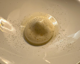 Dinner at Ledoyen