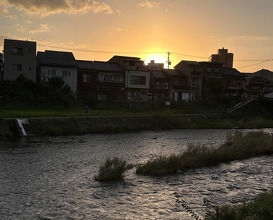 Dinner at Kisanuki (木佐貫)