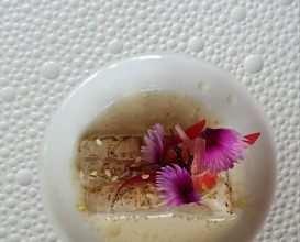 Dinner at Restaurant Codium