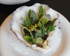 Dinner at Restaurant Codium