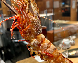 Dinner at 北区 (大阪市)