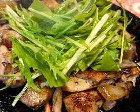 Dinner at 炭焼きLab0式