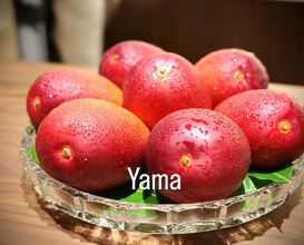 Dinner at Yama