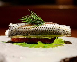 Dinner at スペイン料理 aca
