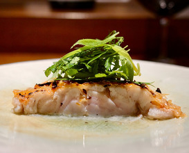Dinner at スペイン料理 aca