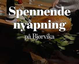 Dinner at Bjørvika