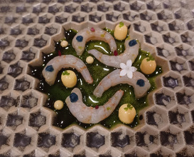 Dinner at Azurmendi