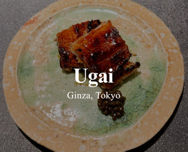 Dinner at Ginza Ugai