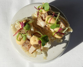 Dinner at Restaurant Hofstede De Blaak