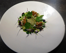 Dinner at Verso Ristorante
