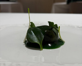 Dinner at Restaurante Lienzo