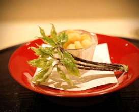 Dinner at 新橋 星野