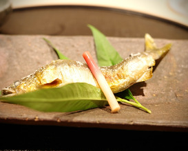 Dinner at 新橋 星野