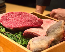 Dinner at Roppongi 六本木, Tokyo Japan