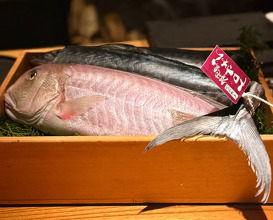 Dinner at Roppongi 六本木, Tokyo Japan