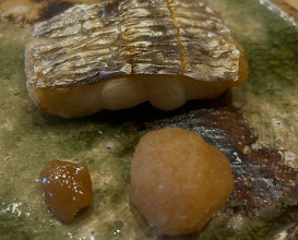 Dinner at Sushi Saito 鮨·齋藤