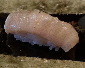Dinner at Sushi Saito 鮨·齋藤