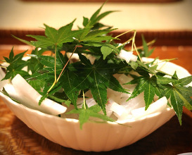 Dinner at 壬生京料理