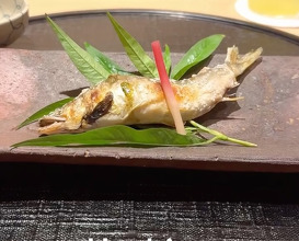 Dinner at 新橋 星野