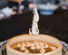 Dinner at Yong Fu·Shang Hai 甬府