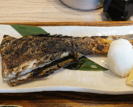 Dinner at ごはんや 飯すけ