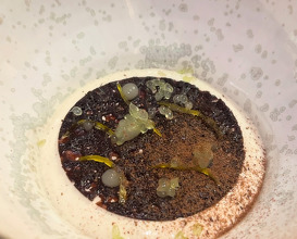Dinner at Le Pressoir D'argent Bordeaux