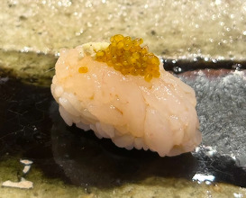 Dinner at Sushi Saito 鮨·齋藤