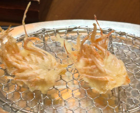 Dinner at Ippoh Tempura Restaurant