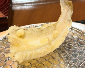 Dinner at Ippoh Tempura Restaurant