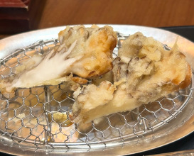 Dinner at Ippoh Tempura Restaurant