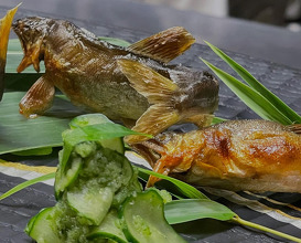 Dinner at 赤坂おぎ乃