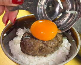 Dinner at Hikiniku To Come - Central Park