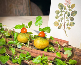 Dinner at Duet by David Toutain