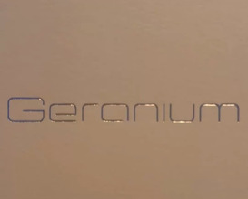 Dinner at Geranium Restaurant In Copenhagen