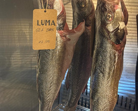 Dinner at LUMA