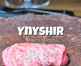 Dinner at Ynyshir Restaurant and Rooms