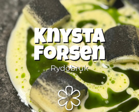 Dinner at Knystaforsen