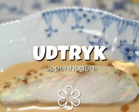 Dinner at Restaurant Udtryk