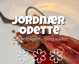 Dinner at Restaurant Jordnær