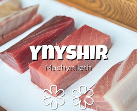 Dinner at Ynyshir Restaurant and Rooms