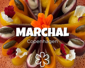 Dinner at Marchal