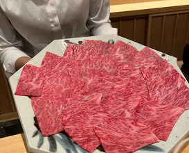 Dinner at Kyoto, Japan