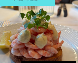 Dinner at Restaurant Møntergade
