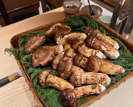 Dinner at 肉屋田中 銀座