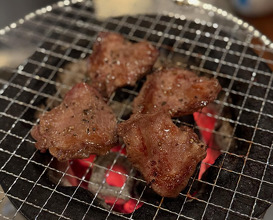 Dinner at 電撃ホルモンツギエ