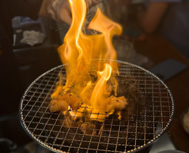 Dinner at 電撃ホルモンツギエ