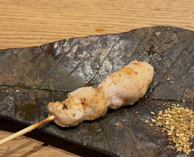 Dinner at Goichi (Higobashi branch)